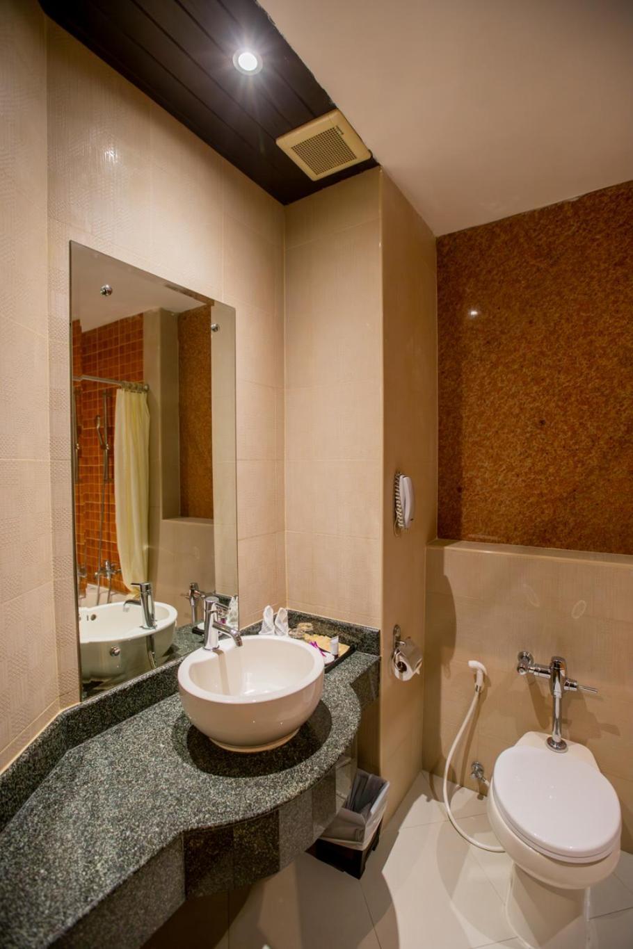Deluxe Double or Twin Room