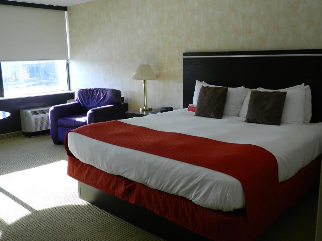 Deluxe Suite (6 Volwassenen)