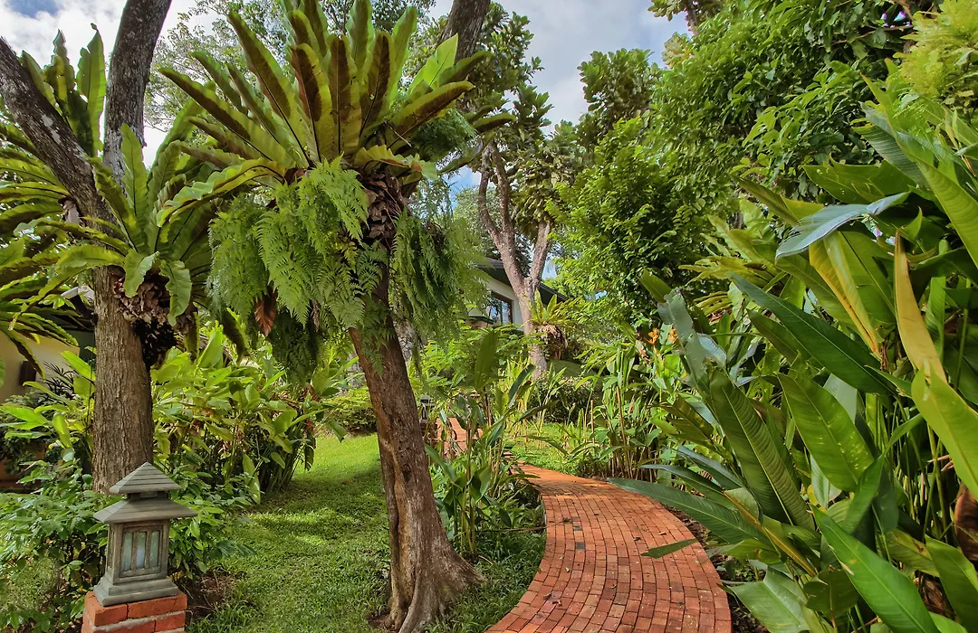 Mangosteen Ayurveda&Wellness Resort - SHA Plus-1