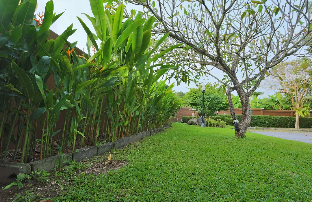 Pattra Mansion By Aksara Collection-1