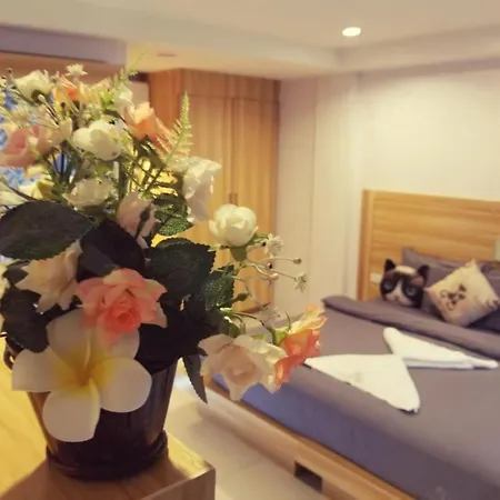 Cat Story Hotel-2