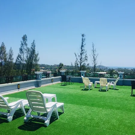 Nature Pine Residence-3