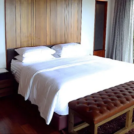 Koi Signature Villa-3