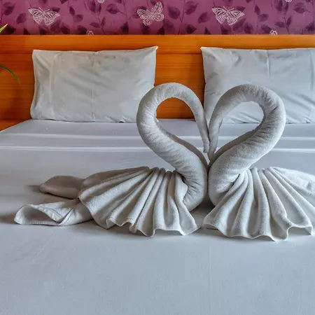 Corsica Guesthouse-3
