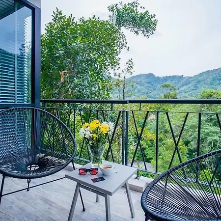 The Woods Natural Park Resort Phuket-3