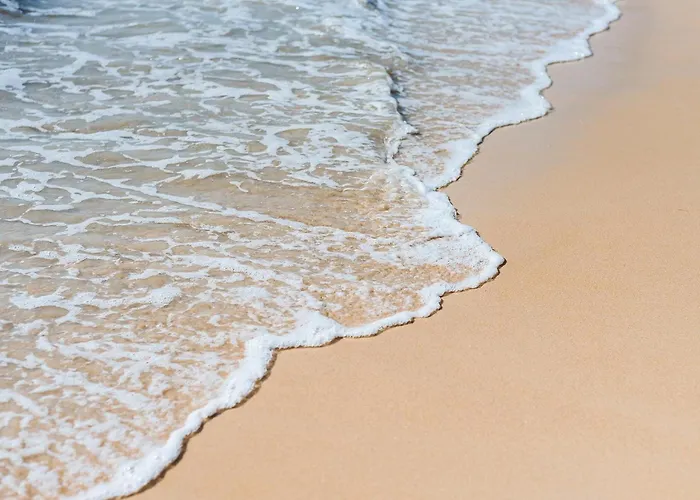Dang Sea Beach Resort - Sha Nai Yang Beach acceptant les animaux