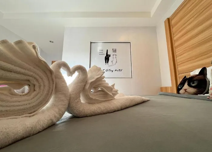 Cat Story Hotel Patong