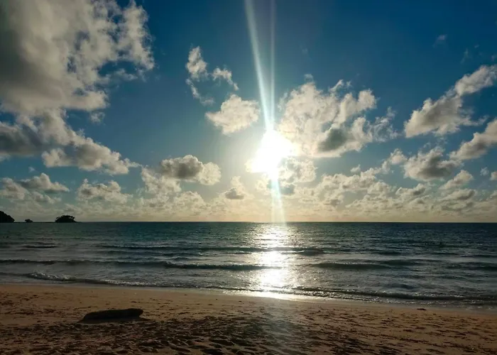 Pet friendly Kingsacre Hotel Nai Yang